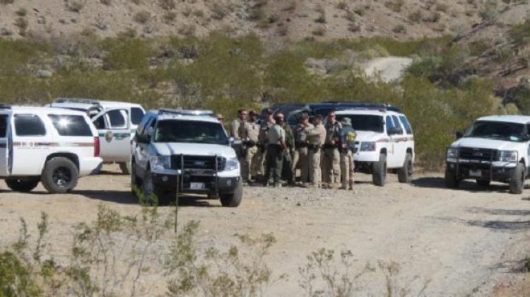 BREAKING: Feds Seize 250 Cattle, 1,000 Horses From Nevada Rancher