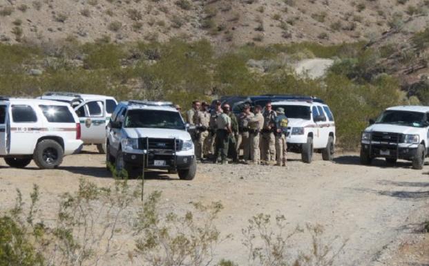 BREAKING: Feds Seize 250 Cattle, 1,000 Horses From Nevada Rancher