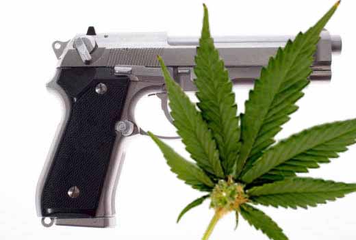 If We Treated Marijuana Like Guns